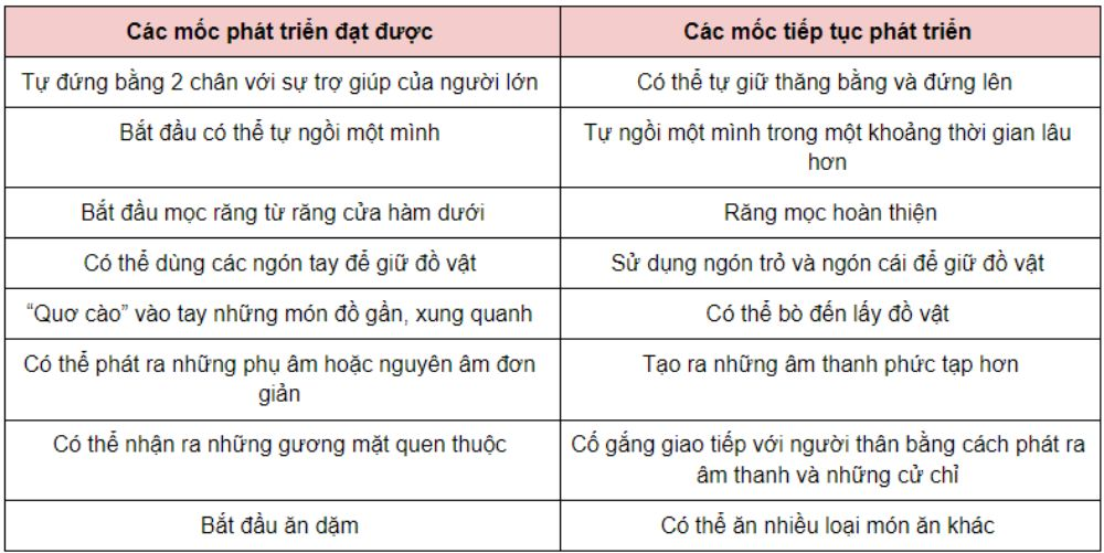 truong-mam-non-nhan-tre-6-thang-hcm-lua-chon-tot-nhat-cho-bo-me-ban-ron-2